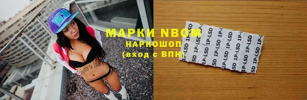 индика Верея