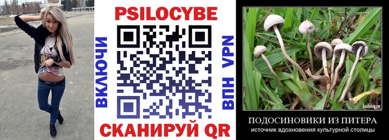 сколько стоит  Высоковск  Галлюциногенные грибы прущие грибы 